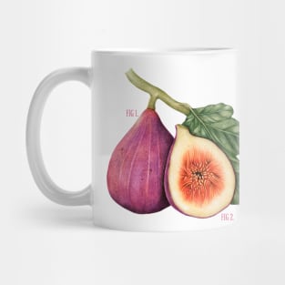 Funny Vintage Botanical Figs Mug